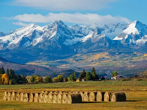 Colorado