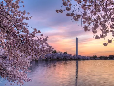 District of Columbia