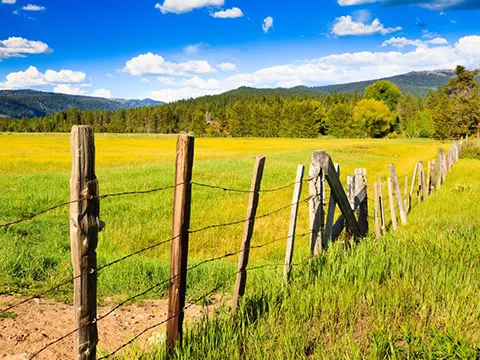 Idaho