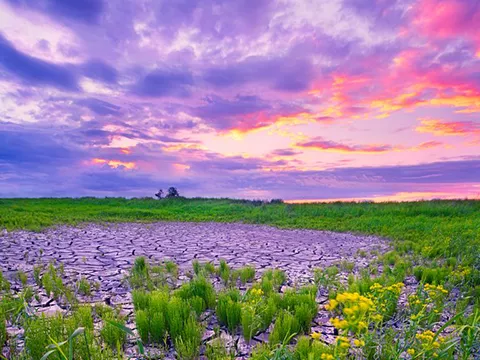 North Dakota