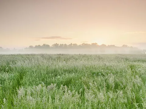Ohio