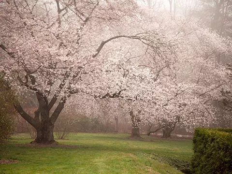 Pennsylvania