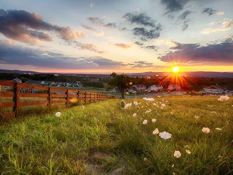 Virginia