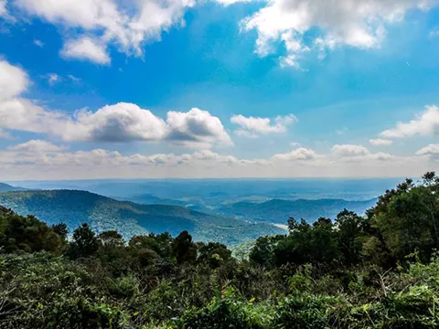 West Virginia