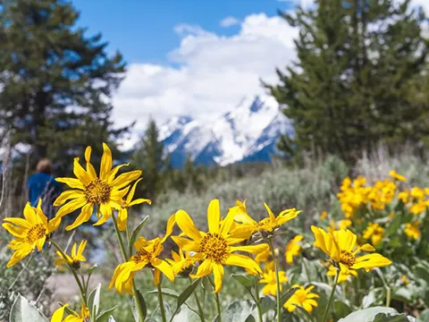 Wyoming