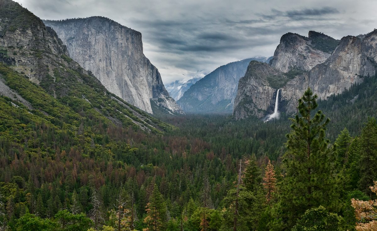 Yosemite National Park, CA